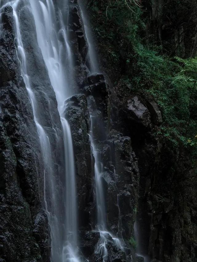 明日之后